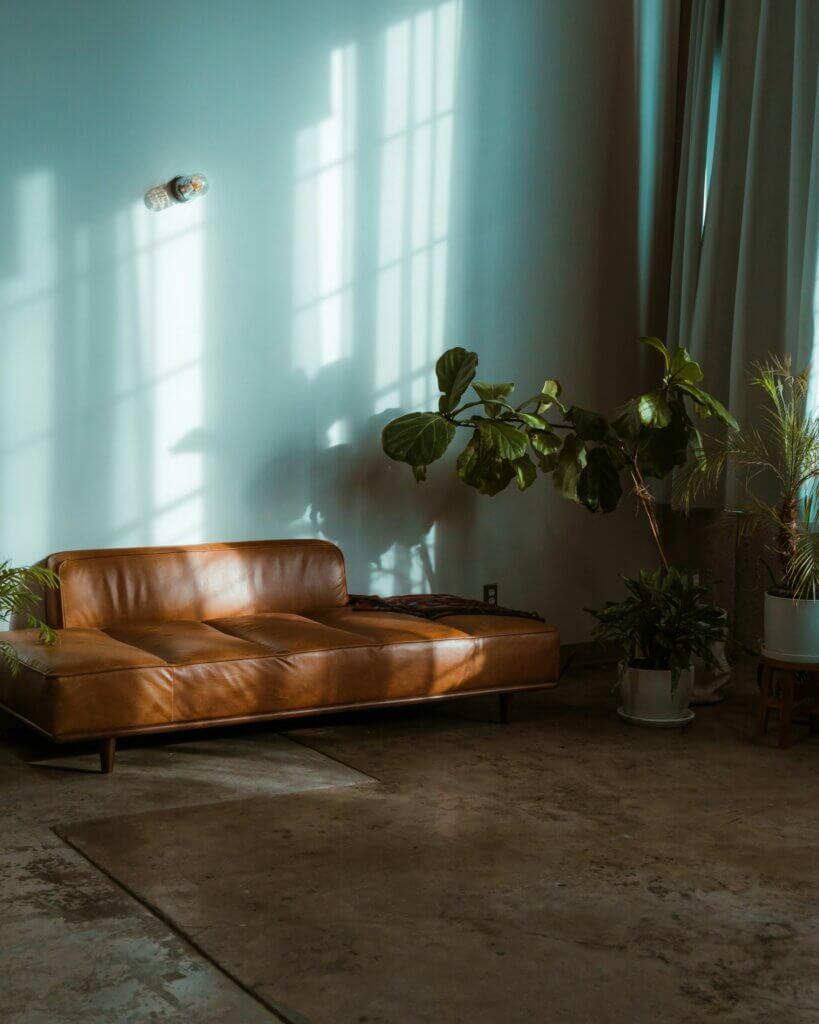 Diván de piel en una habitación con luz de ventana y plantas, imagen que evoca el dispositivo psicoanalítico